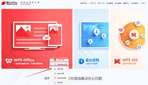 WPS格式转换器使用技巧：轻松搞定多种文件